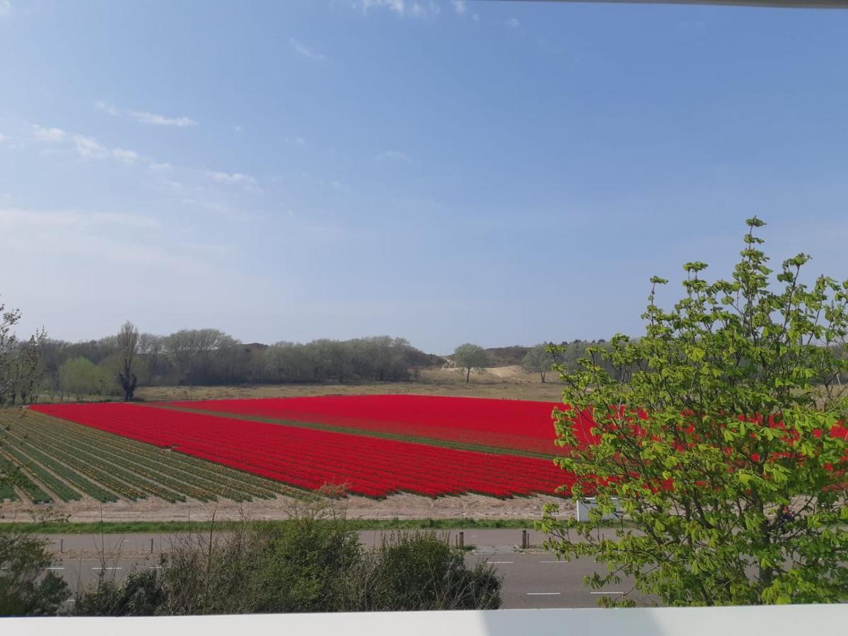 4T4 Apartment C Egmond aan den Hoef Eksteriør bilde